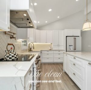 Flawless Spaces Cleaners