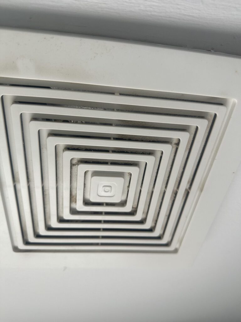 Work photo 2