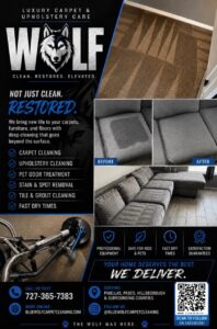 Blue Wolf Cleaning